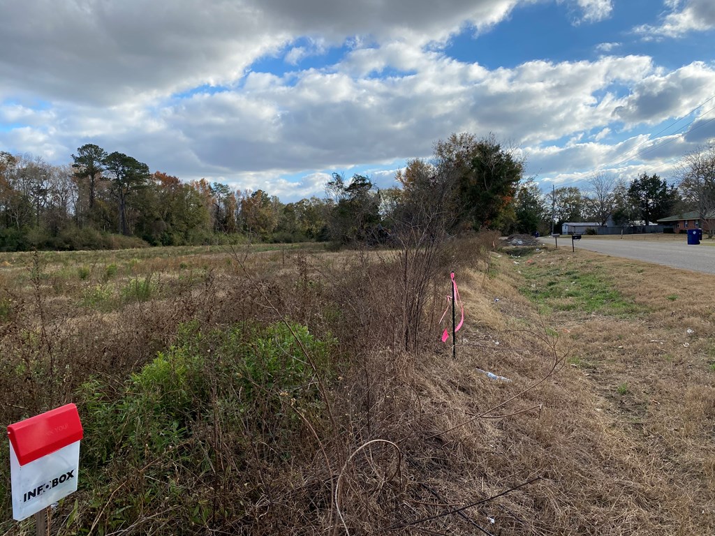 2 National Road Dothan, AL 36301 - Photo 2 of 3