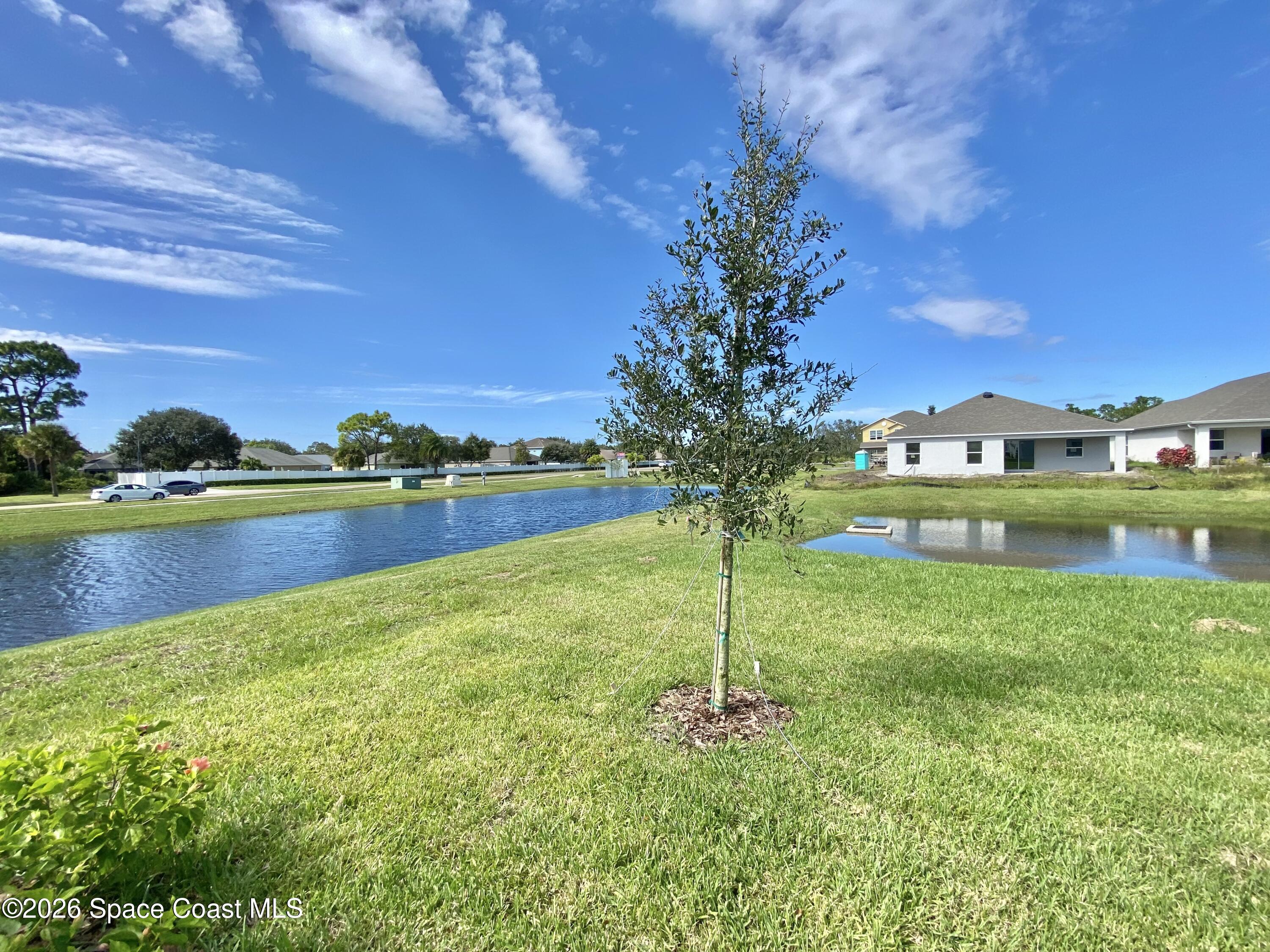 1210 Dania Circle Palm Bay, FL 32905 - Photo 26 of 28 IMG_9442