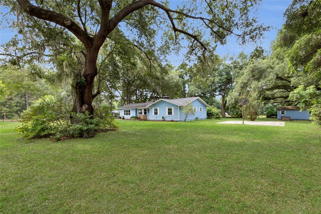 2800 Southeast 157th Lane Road Summerfield, FL 34491 - Photo 18 of 39