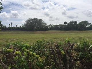 23453 Liberty Bell Terrace Boca Raton, FL 33433 - Photo 34 of 39 VIEW FROM BACK OF HOUSE
