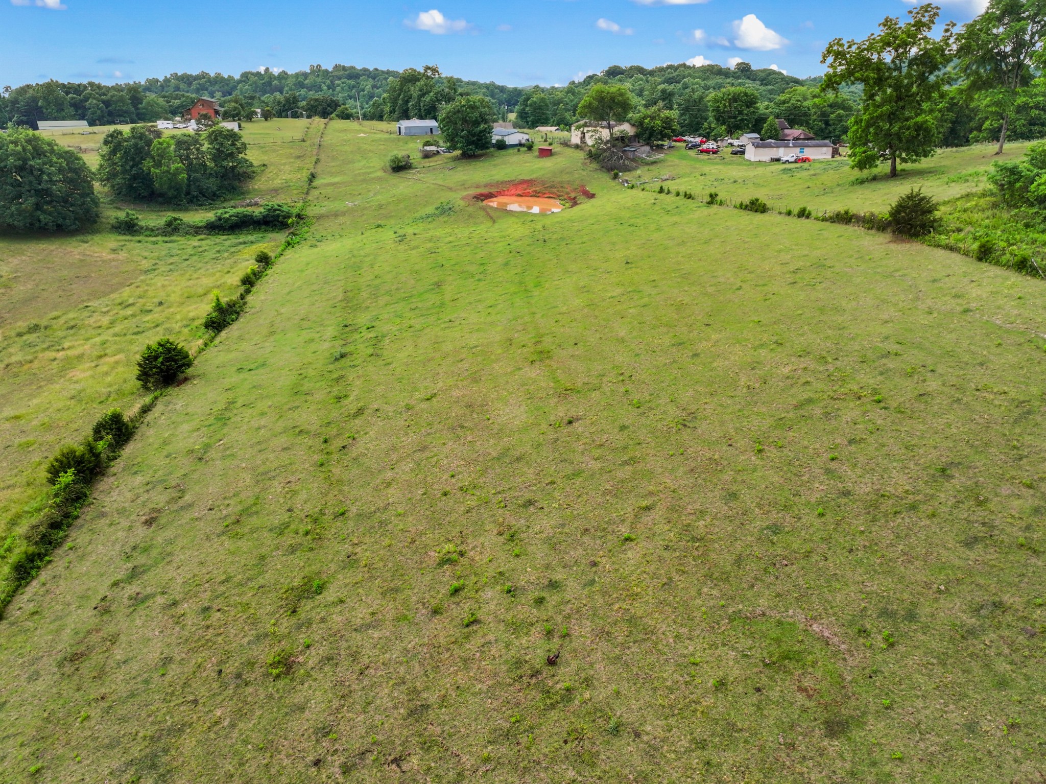 1839 Promiseland Road Blaine, TN 37709 - Photo 46 of 52