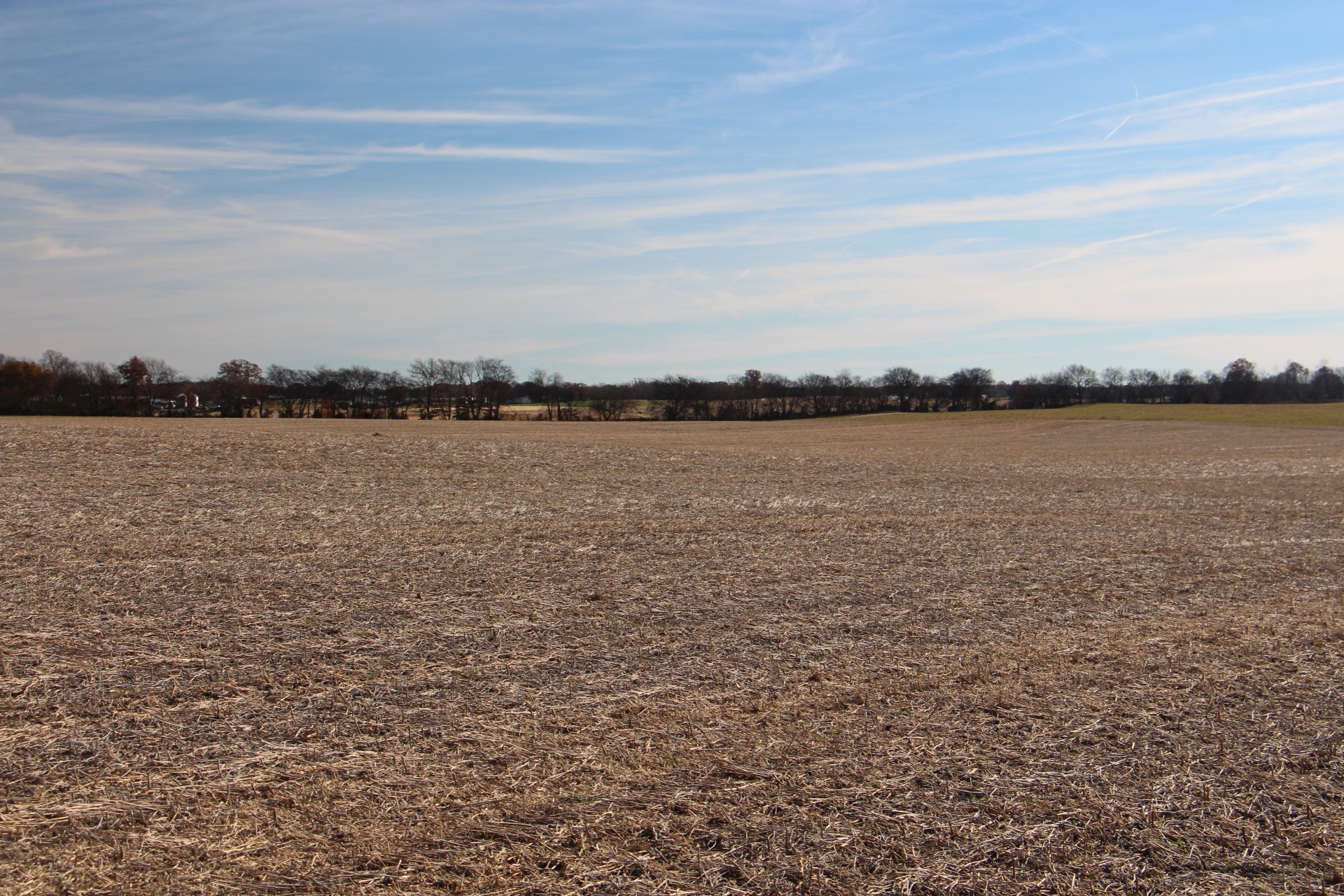 A Borthick Road North Springfield, TN 37172 - Photo 1 of 8 a view of an ocean