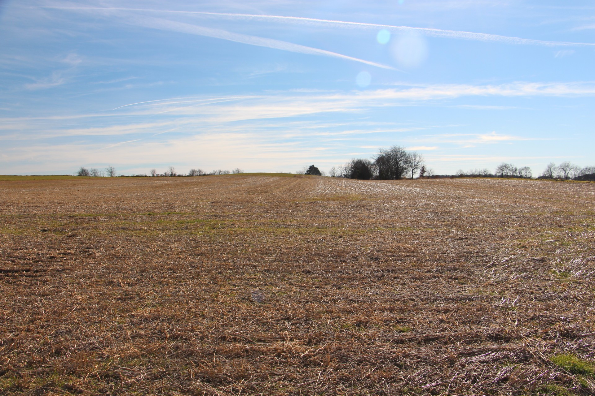 A Borthick Road North Springfield, TN 37172 - Photo 4 of 8 a view of an ocean