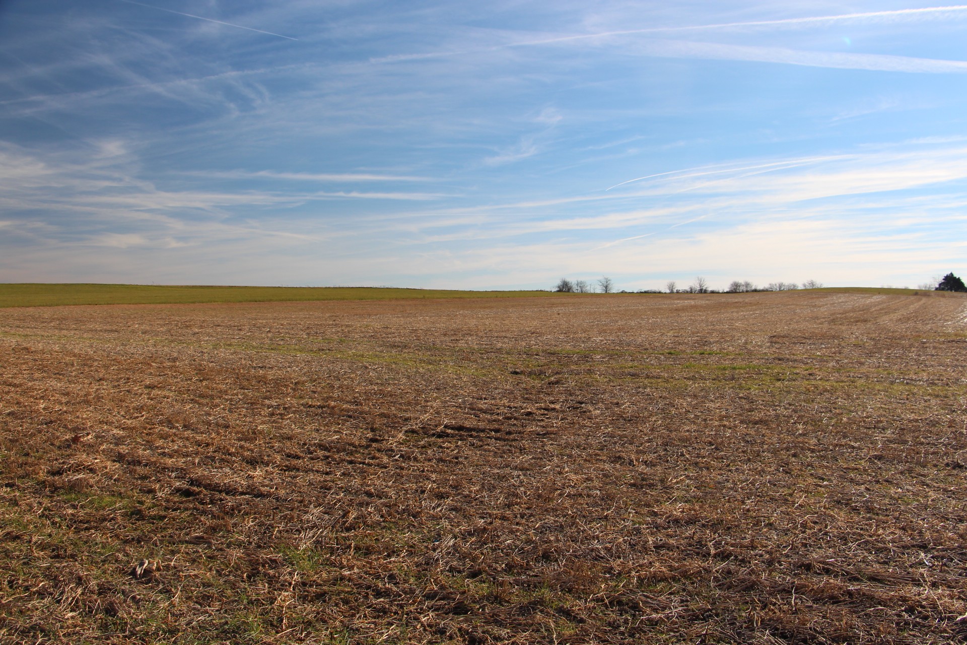 A Borthick Road North Springfield, TN 37172 - Photo 5 of 8 a view of an ocean
