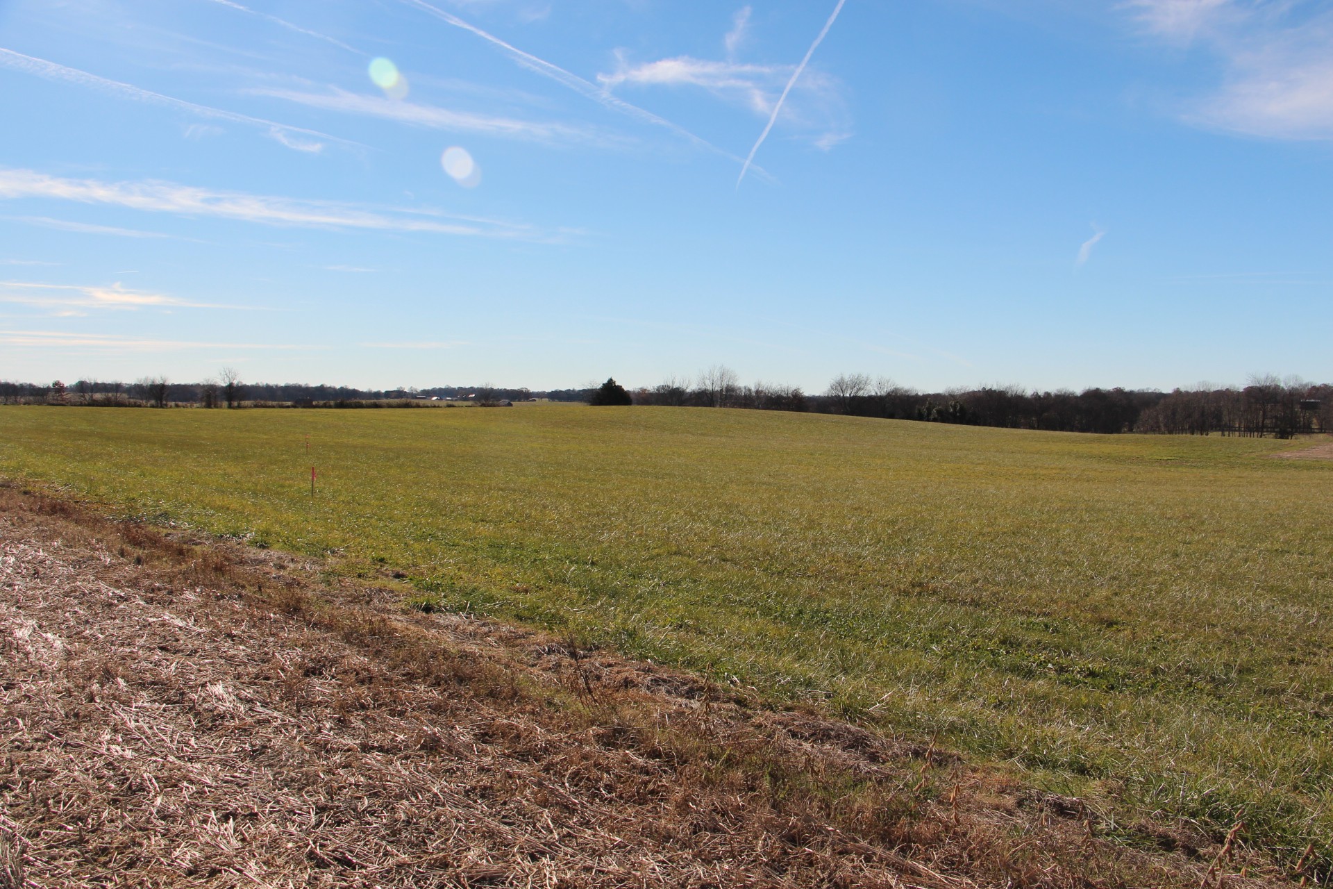 A Borthick Road North Springfield, TN 37172 - Photo 6 of 8 a view of an ocean beach