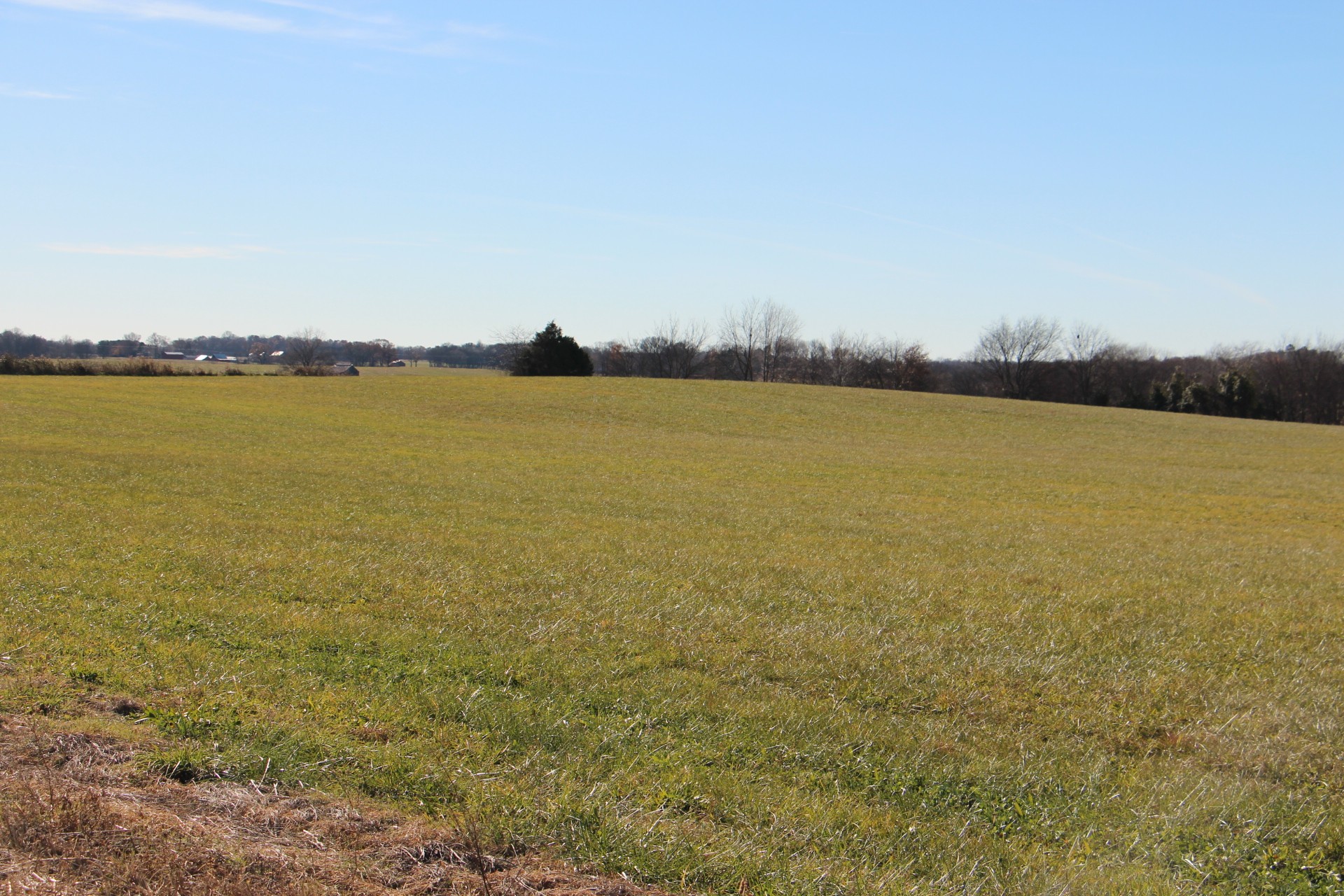 A Borthick Road North Springfield, TN 37172 - Photo 7 of 8 a view of an ocean from a city