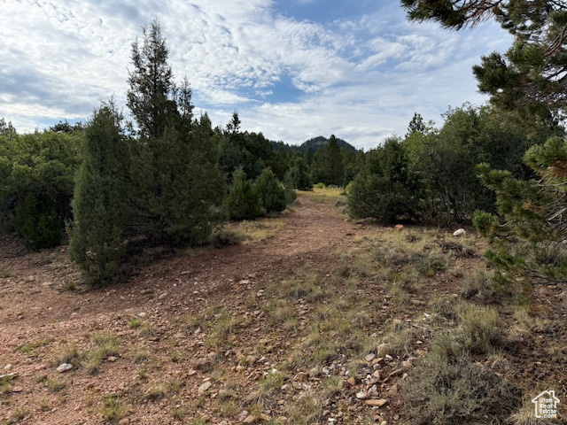 Crest Court Alton, UT 84710 - Photo 11 of 17 View of local wilderness