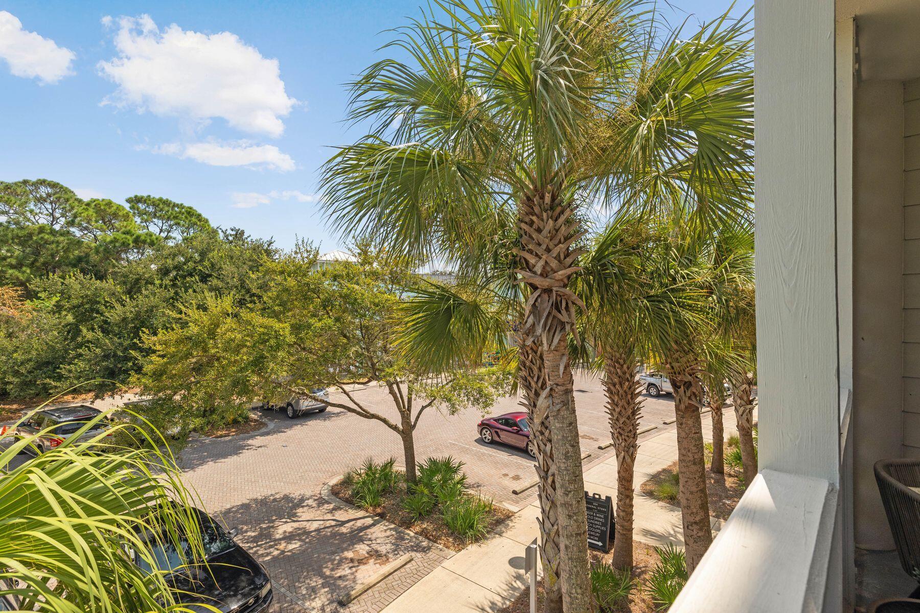 43 Cassine Way, Unit 207 Santa Rosa Beach, FL 32459 - Photo 20 of 28 a view of a yard with a palm tree