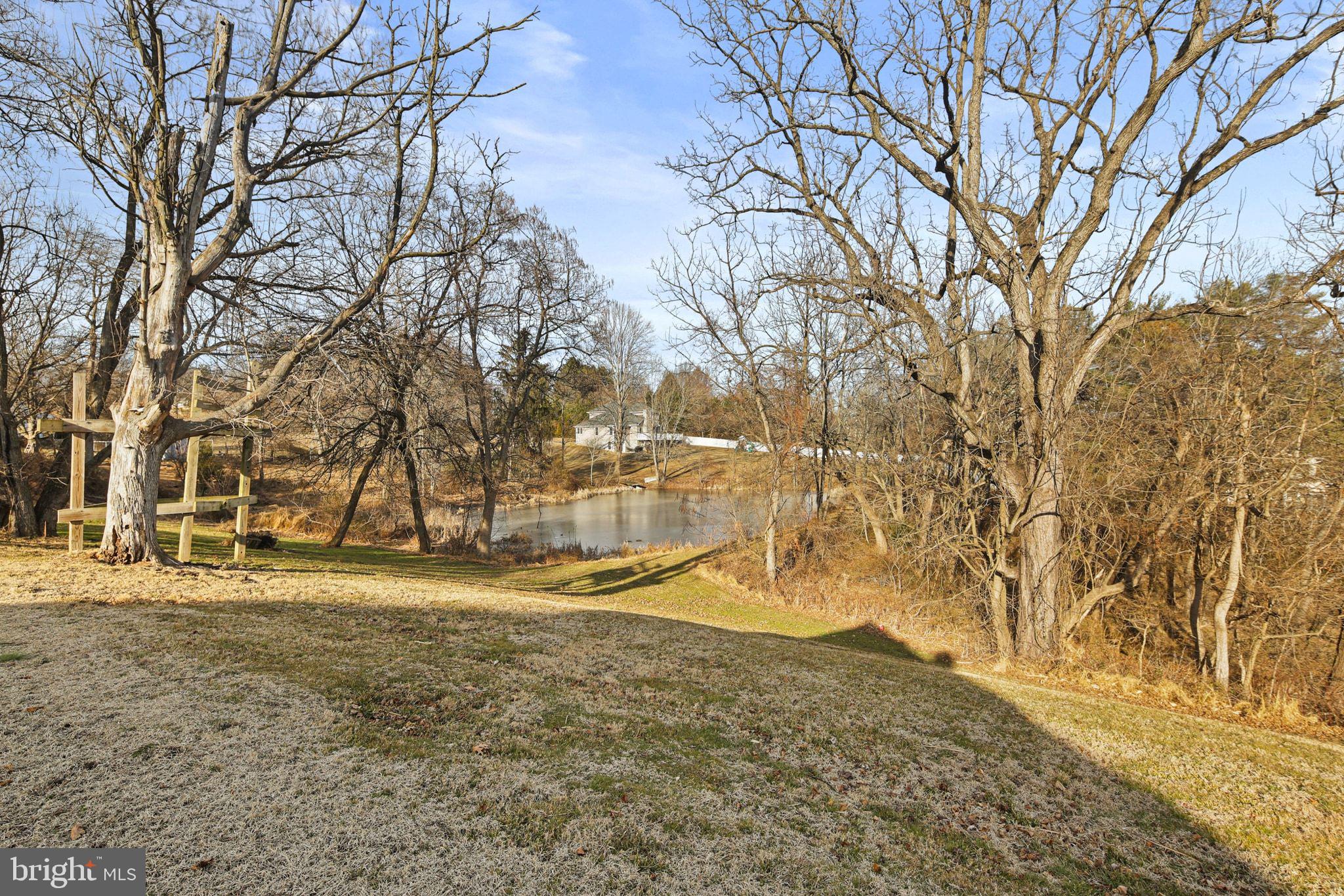11850 Ramsburg Road Marriottsville, MD 21104 - Photo 39 of 49 a view of yard with trees