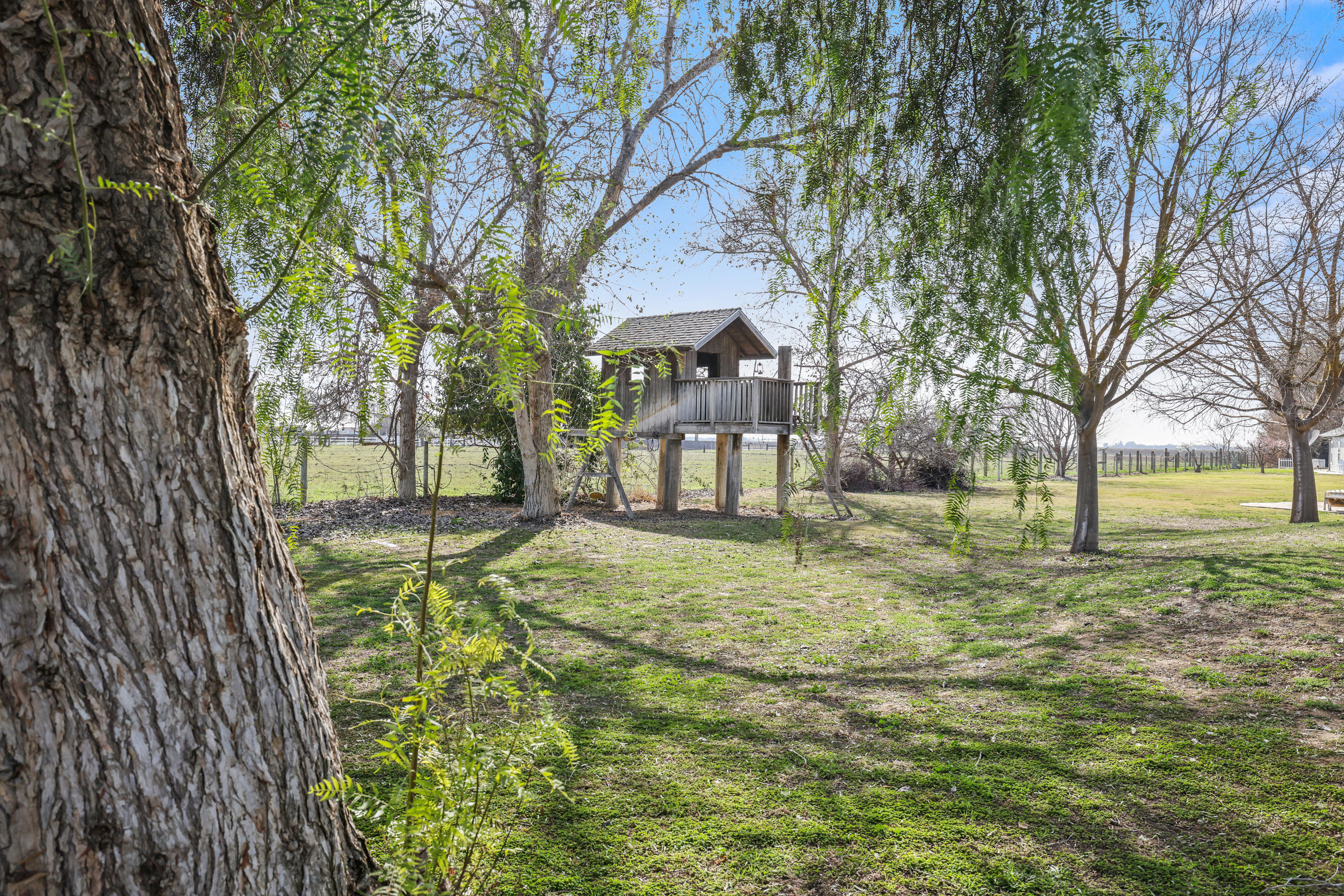 1310 South Anderson Road Exeter, CA 93221 - Photo 105 of 124 Playhouse