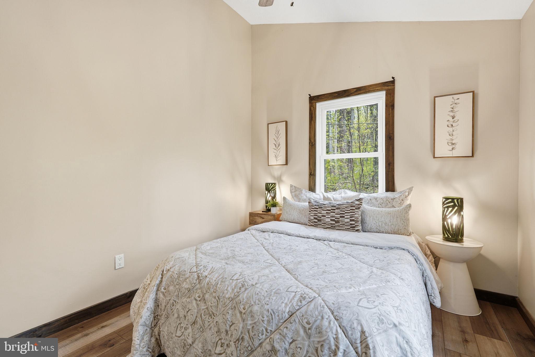 52 Hickory Nut Road Linden, VA 22642 - Photo 27 of 52 Primary Bedroom