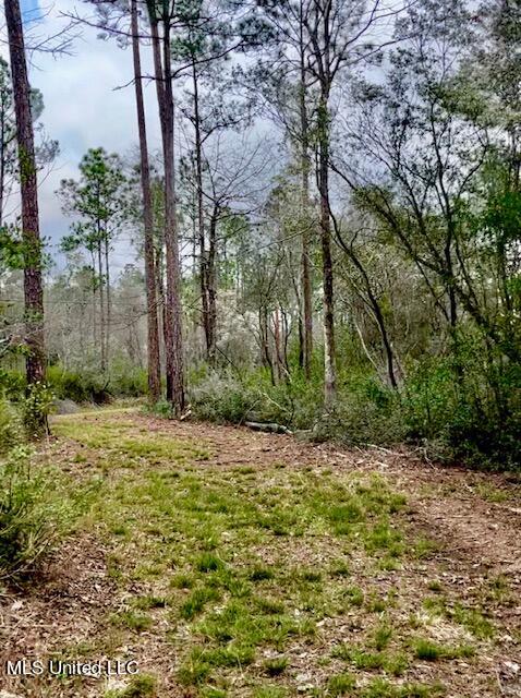15429 Indian Fork Road Vancleave, MS 39565 - Photo 33 of 63 Trails Abound