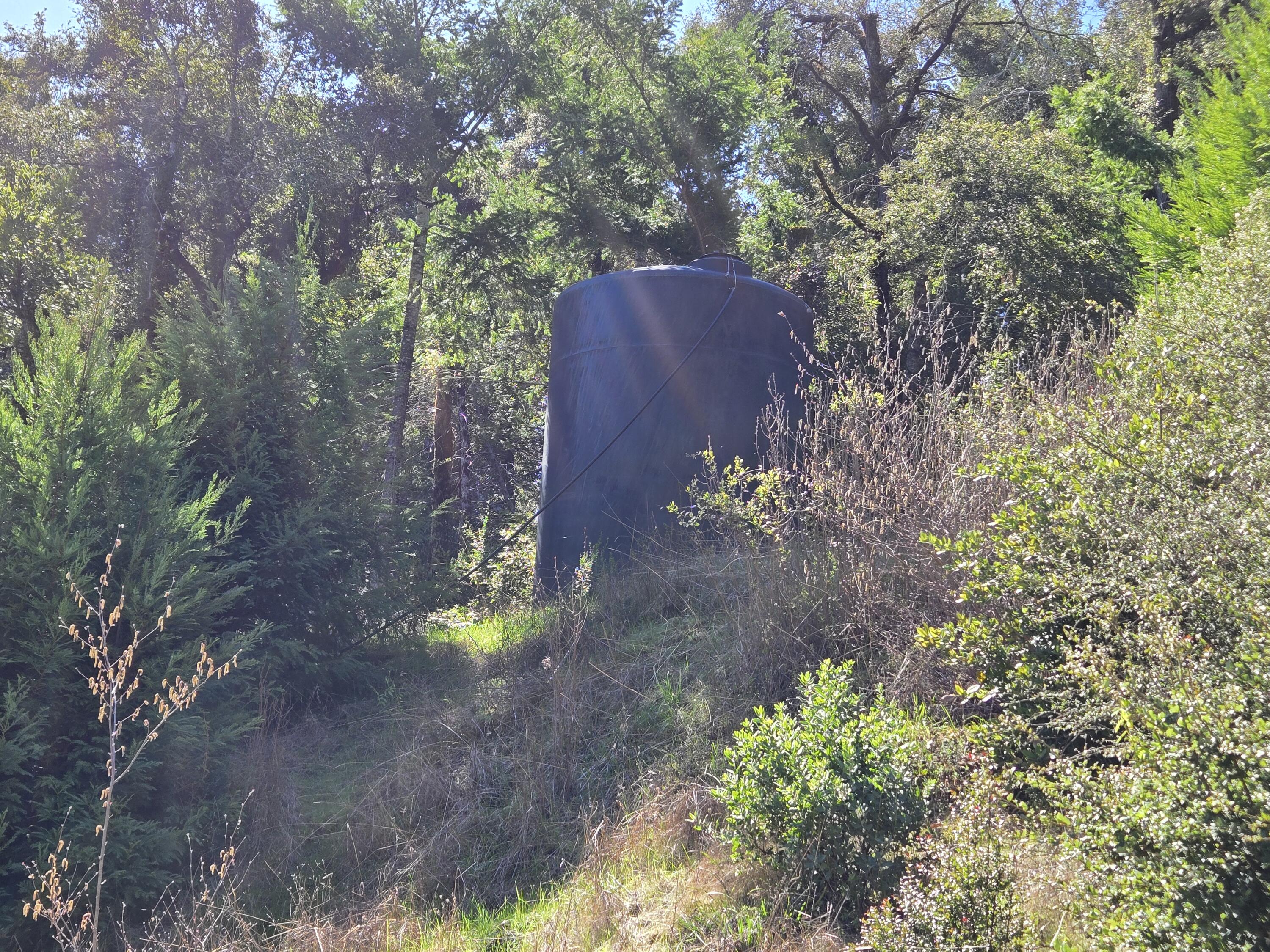 0 Sequoia Road Myers Flat, CA 95554 - Photo 35 of 36