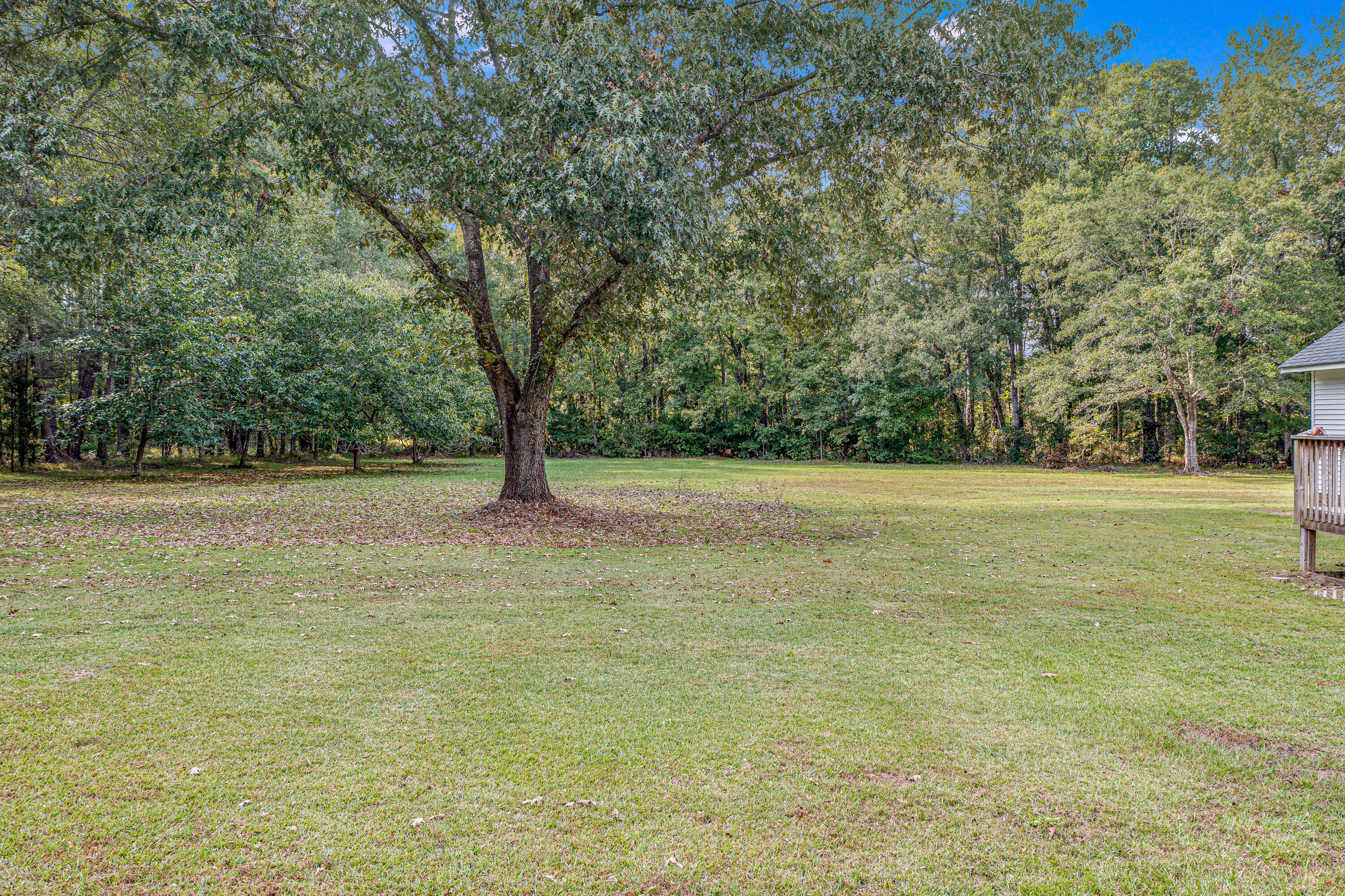 643 Whippoorwill Lane Ridgeville, SC 29472 - Photo 8 of 37 643WhippoorwillLn.MoodyBrandingBoutique-
