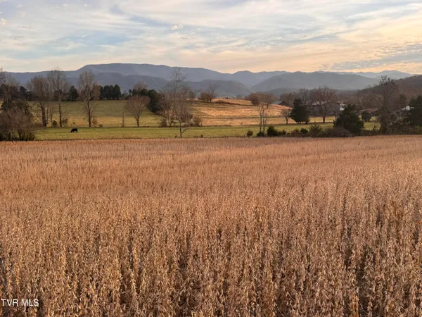 $265,000 | 0 Pleasant Hill Road, Chuckey, TN 37641