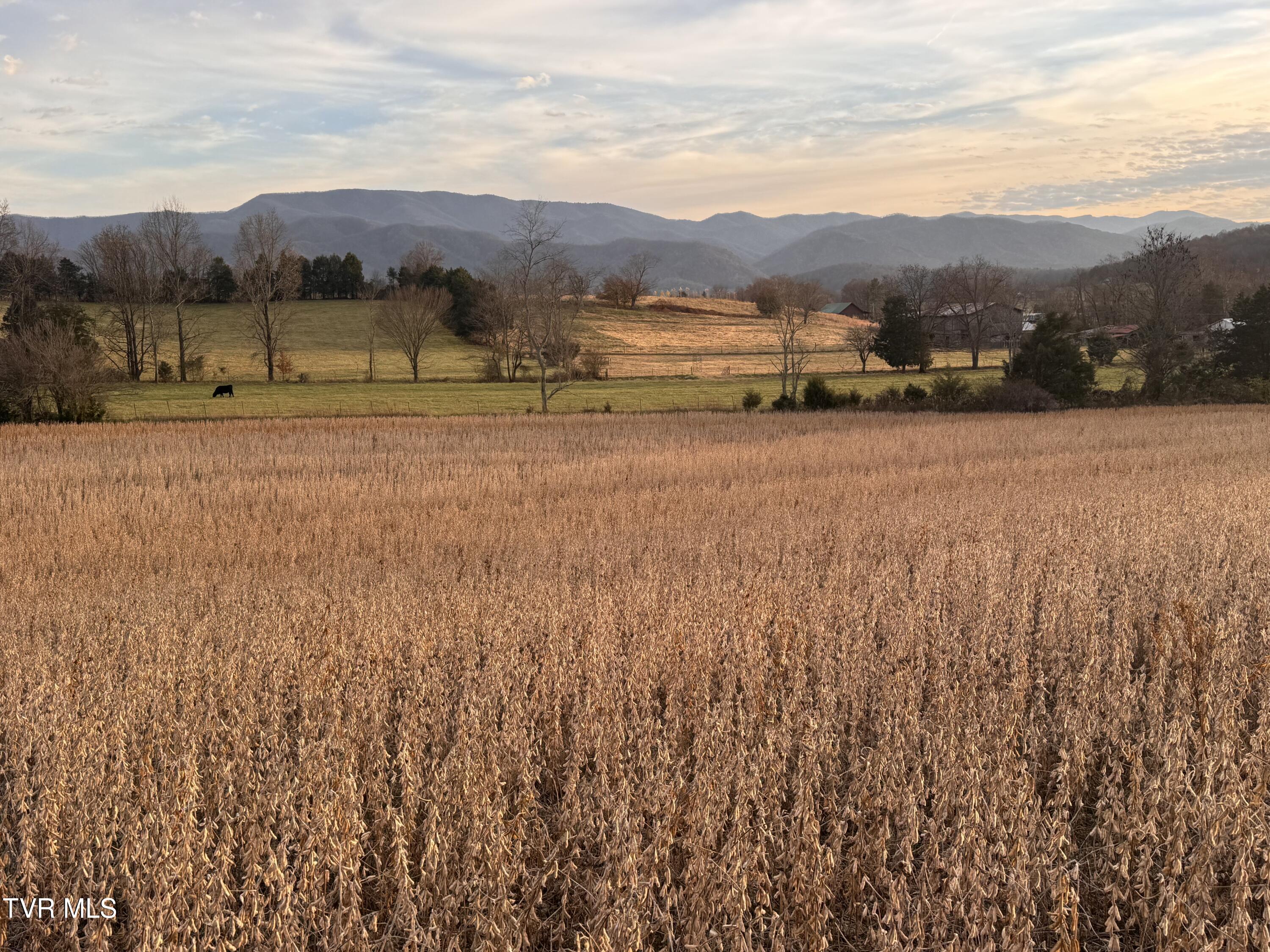 0 Pleasant Hill Road Chuckey, TN 37641 - Photo 2 of 28 IMG_2293