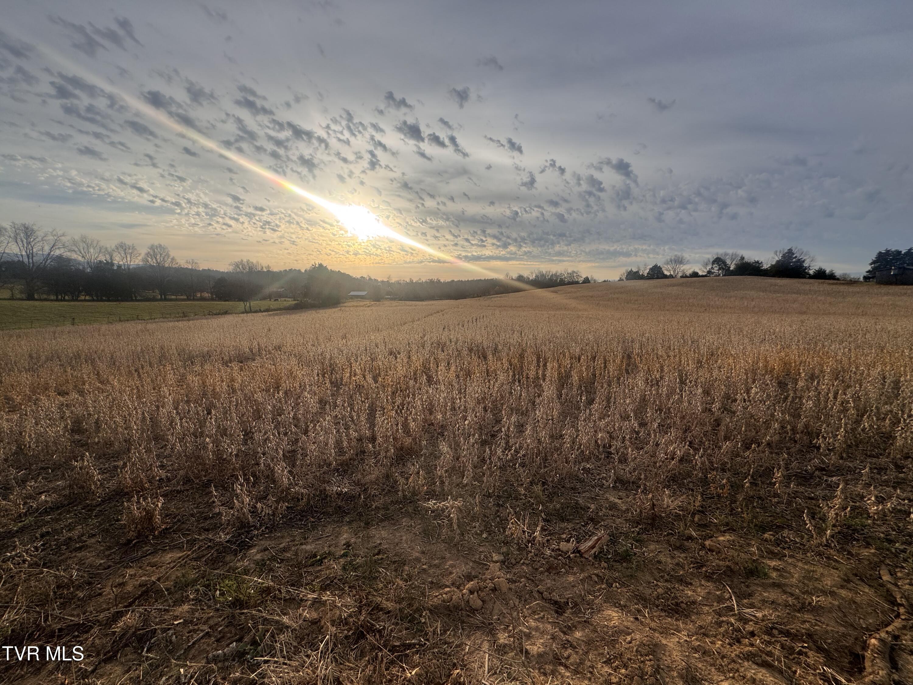 0 Pleasant Hill Road Chuckey, TN 37641 - Photo 28 of 28 IMG_2280