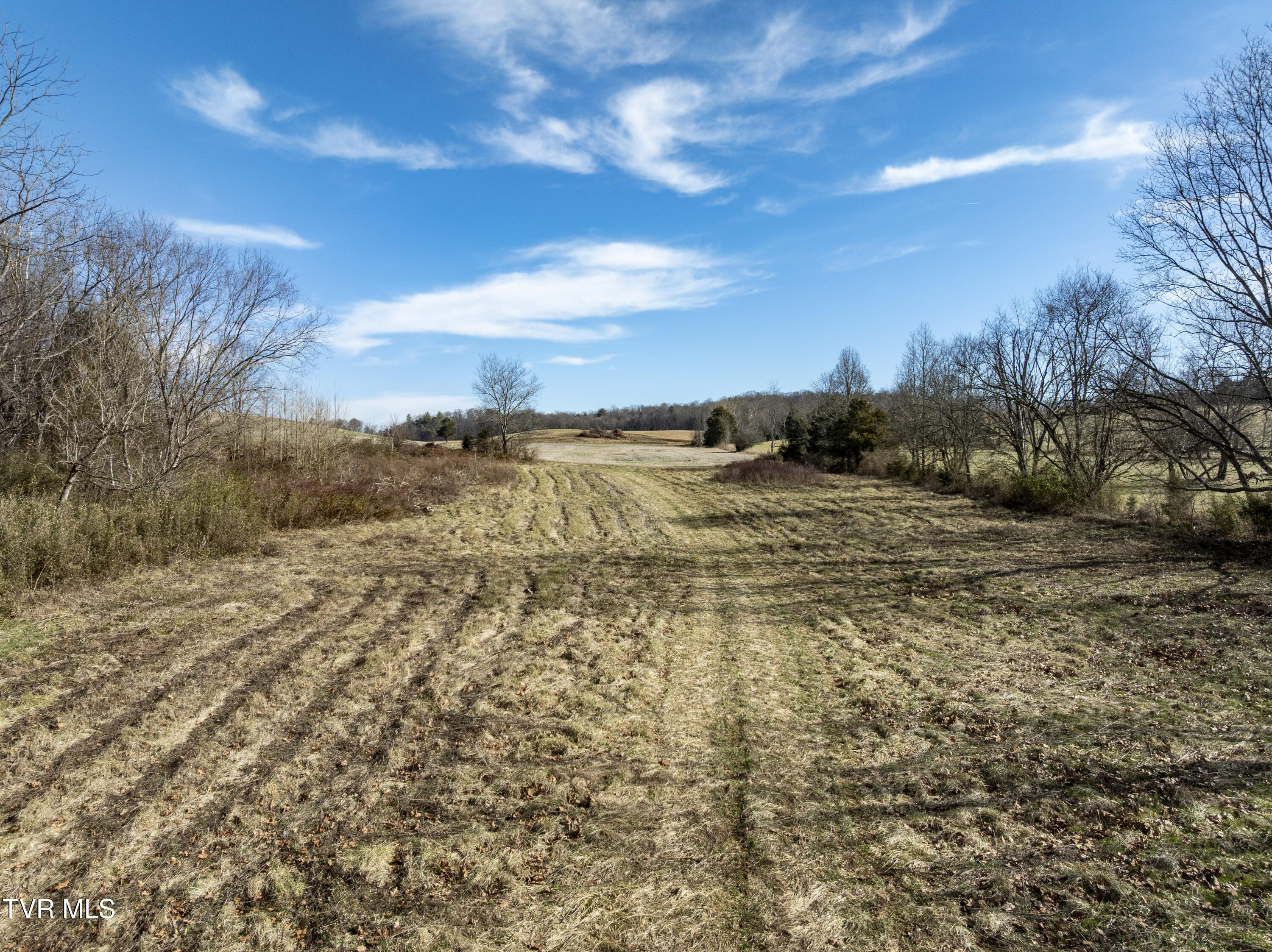 0 Pleasant Hill Road Chuckey, TN 37641 - Photo 10 of 28 PleasantHill--1