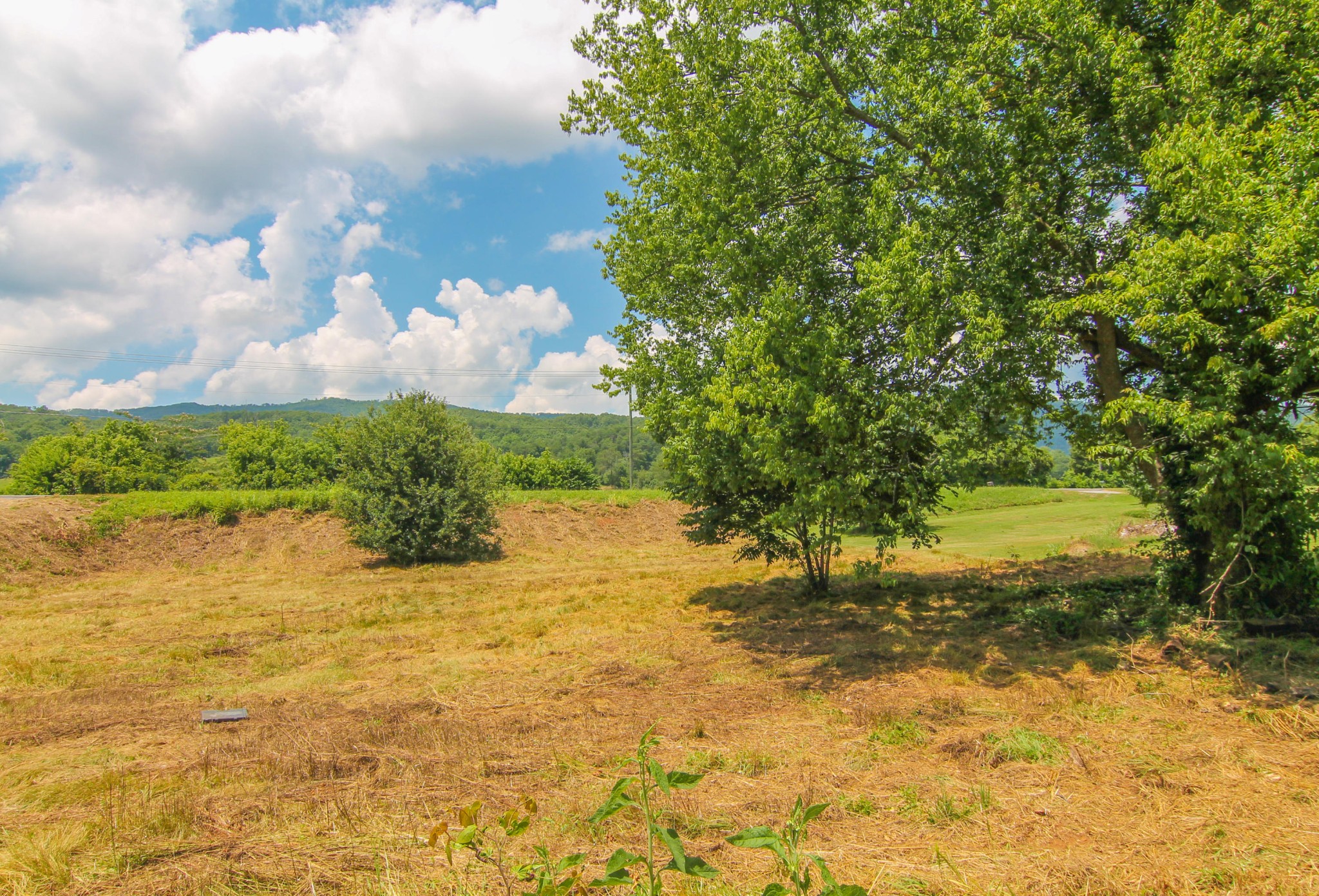 2854 Rutledge Pike Blaine, TN 37709 - Photo 3 of 27 Gallery Image 3
