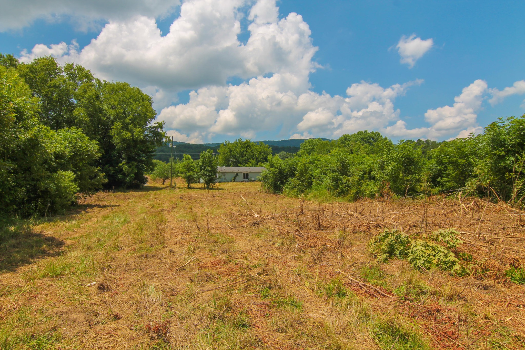 2854 Rutledge Pike Blaine, TN 37709 - Photo 4 of 27 Gallery Image 4