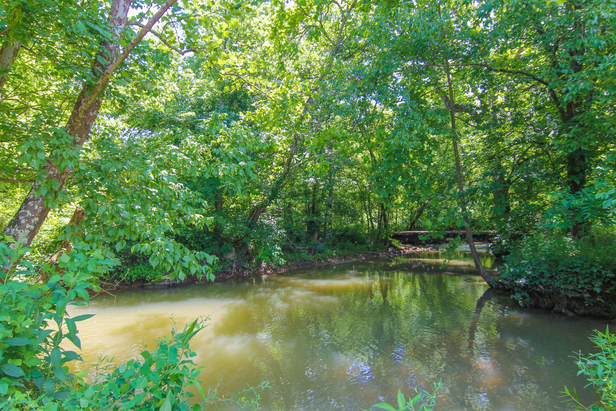 2854 Rutledge Pike Blaine, TN 37709 - Photo 6 of 27 Gallery Image 6