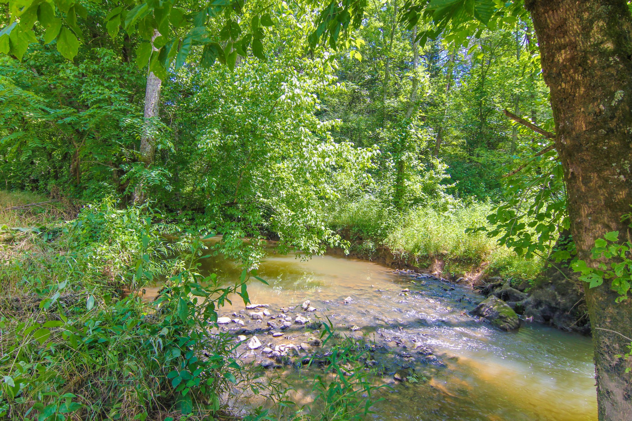 2854 Rutledge Pike Blaine, TN 37709 - Photo 7 of 27 Gallery Image 7