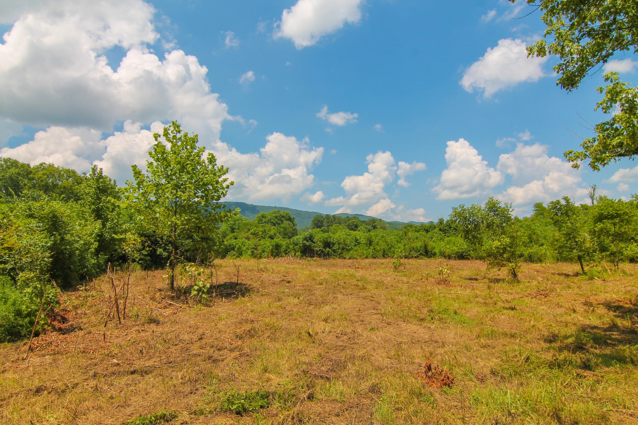 2854 Rutledge Pike Blaine, TN 37709 - Photo 10 of 27 Gallery Image 10