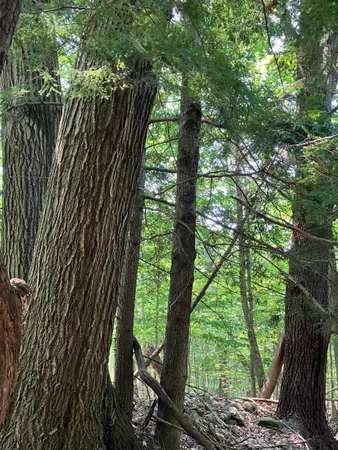 $150,000 | Slab City Road, Claremont, NH 03743