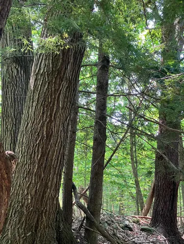 $150,000 | Slab City Road, Claremont, NH 03743