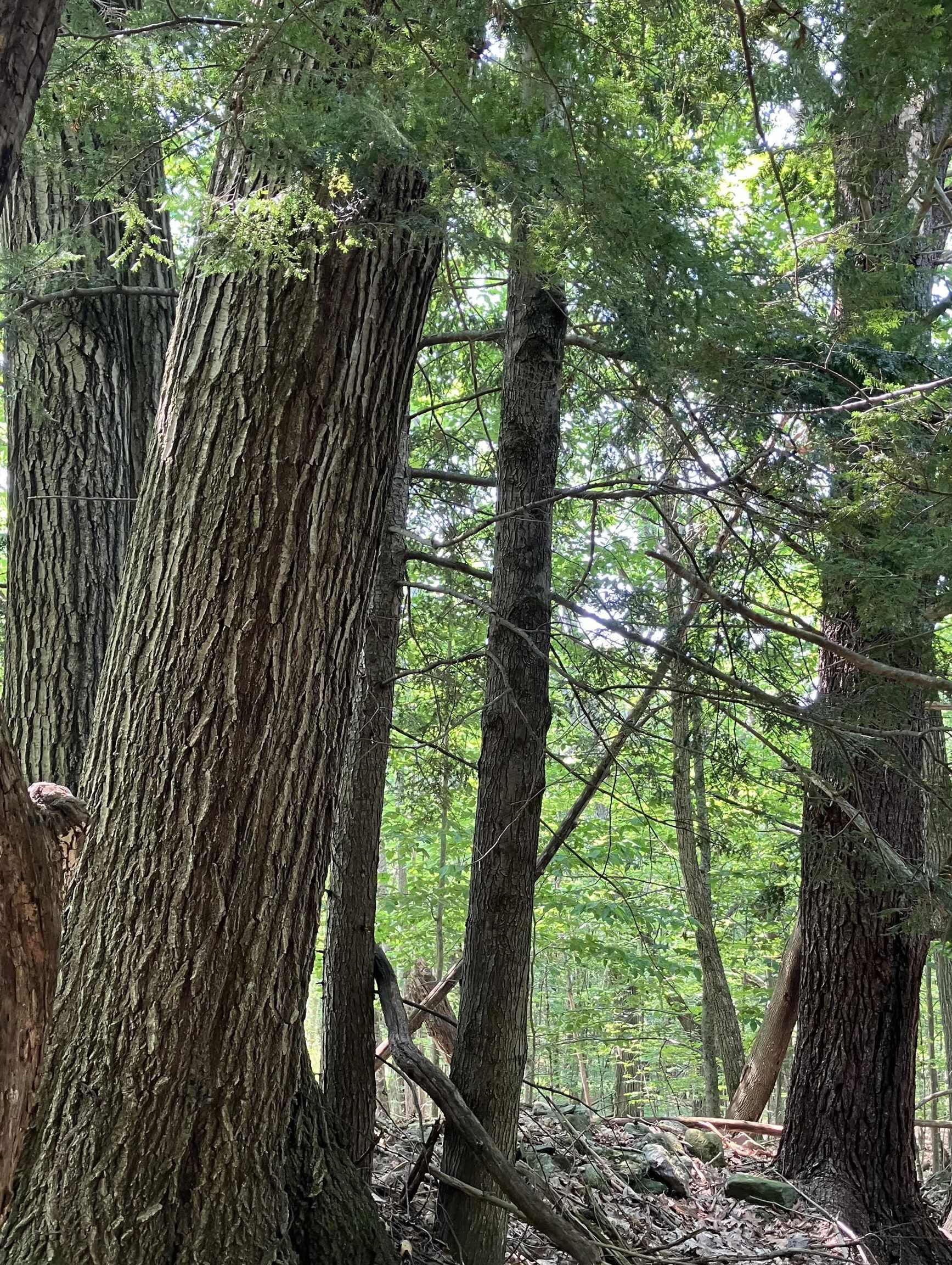 Slab City Road Claremont, NH 03743 - Photo 14 of 17