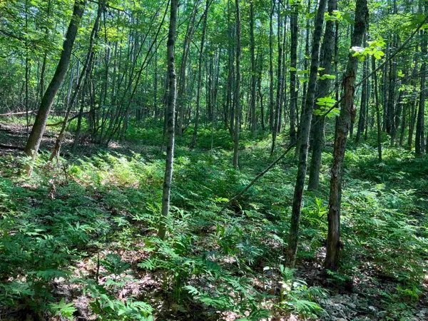 $150,000 | Slab City Road, Claremont, NH 03743