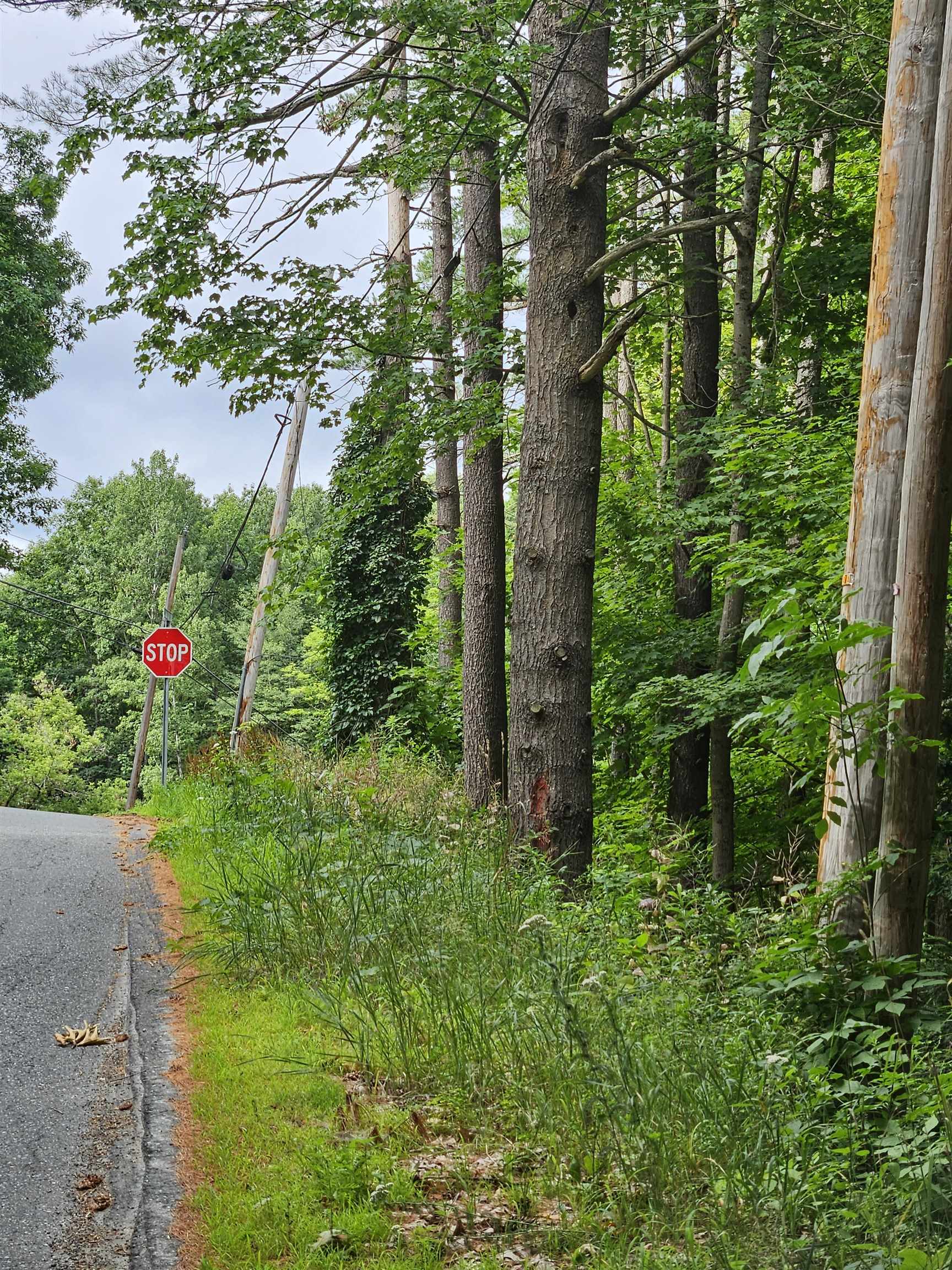 Slab City Road Claremont, NH 03743 - Photo 5 of 17