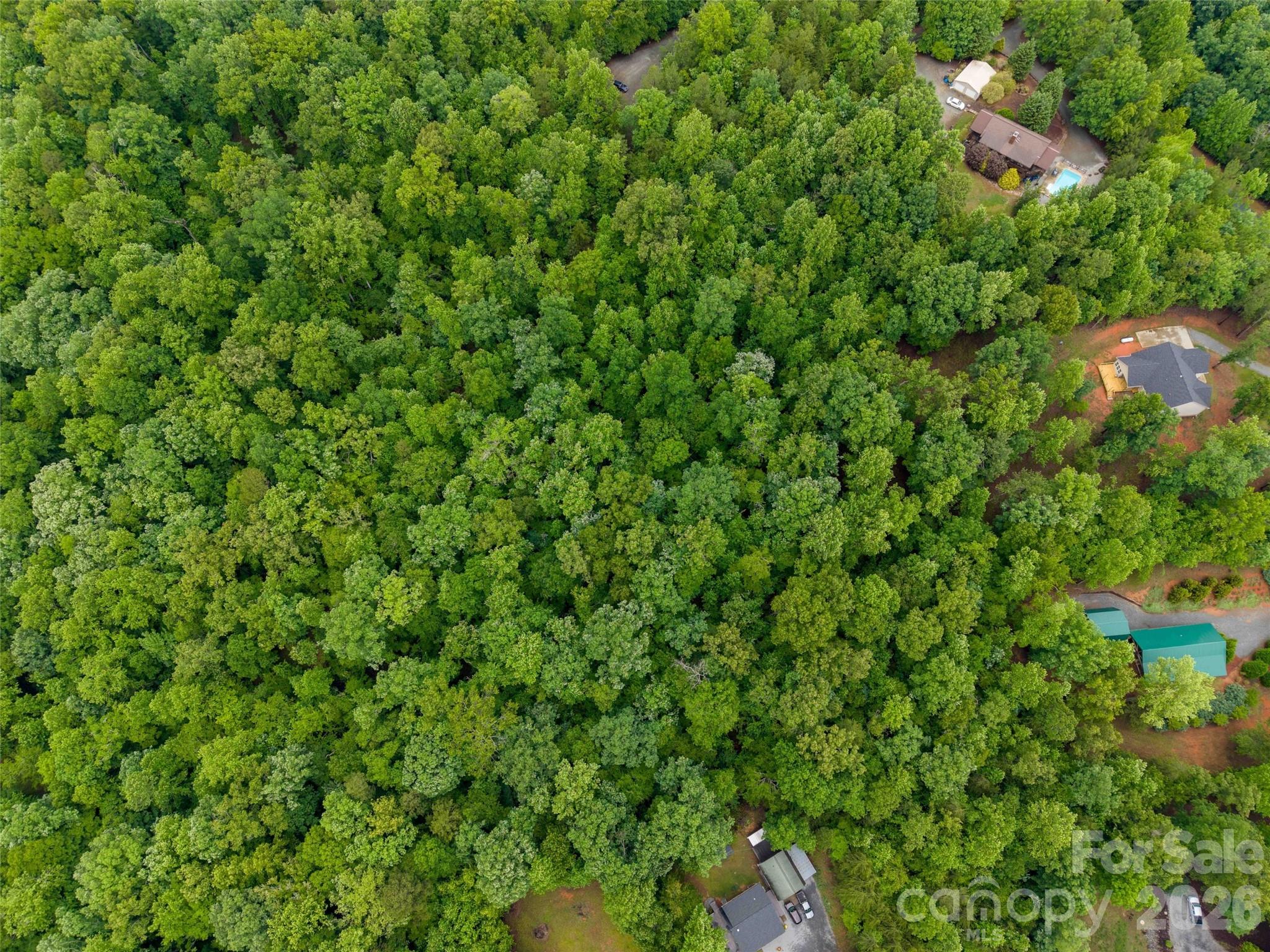 0 Bee Gee Drive Rutherfordton, NC 28139 - Photo 18 of 26