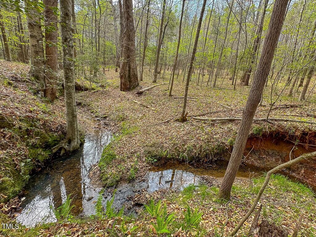 0 Rifle Range Road Warrenton, NC 27589 - Photo 28 of 38 tempImagel6EhTo