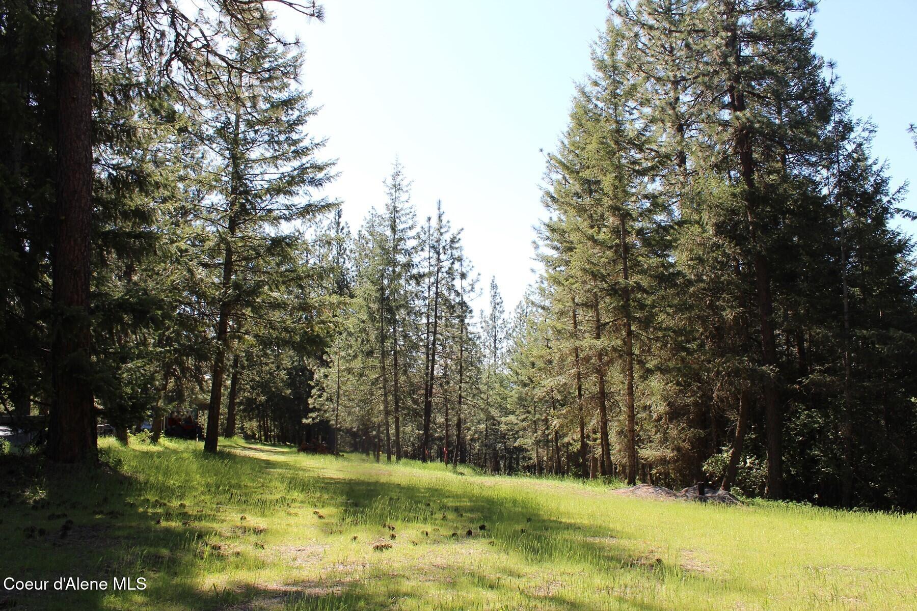 881-2714 South Allen Road Coeur D'Alene, ID 83814 - Photo 15 of 54 Haven Ridge Top Meadow