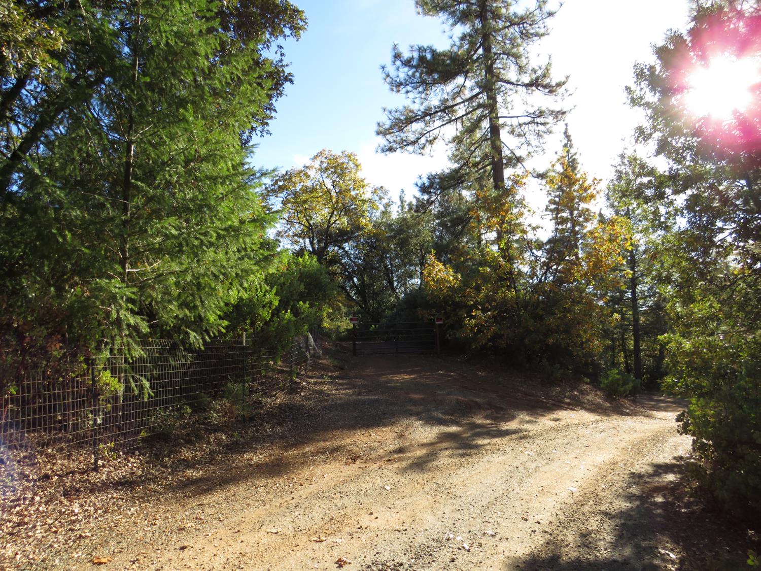 0 Steamers Ravine Road Colfax, CA 95713 - Photo 19 of 21 Gallery Image 19