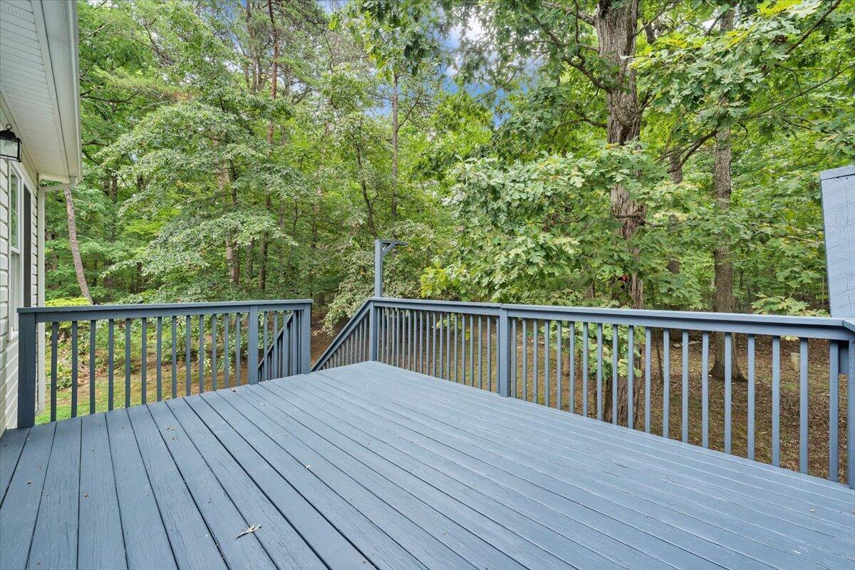 3314 Blue Ridge Boulevard Blue Ridge, VA 24064 - Photo 41 of 53 35-MIB04741