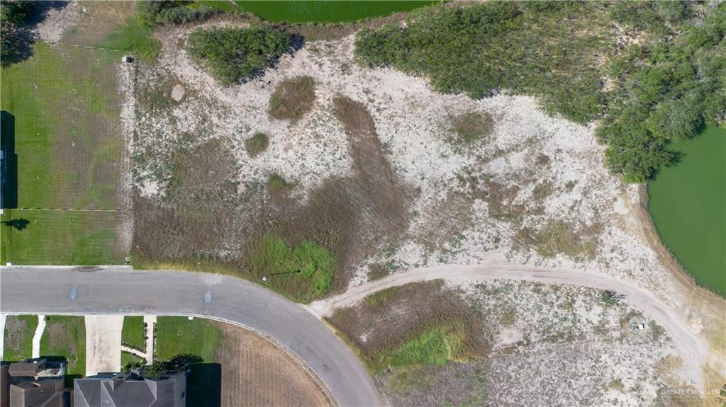 901 Rhett Drive Pharr, TX 78577 - Photo 5 of 5 a view of a yard with plants