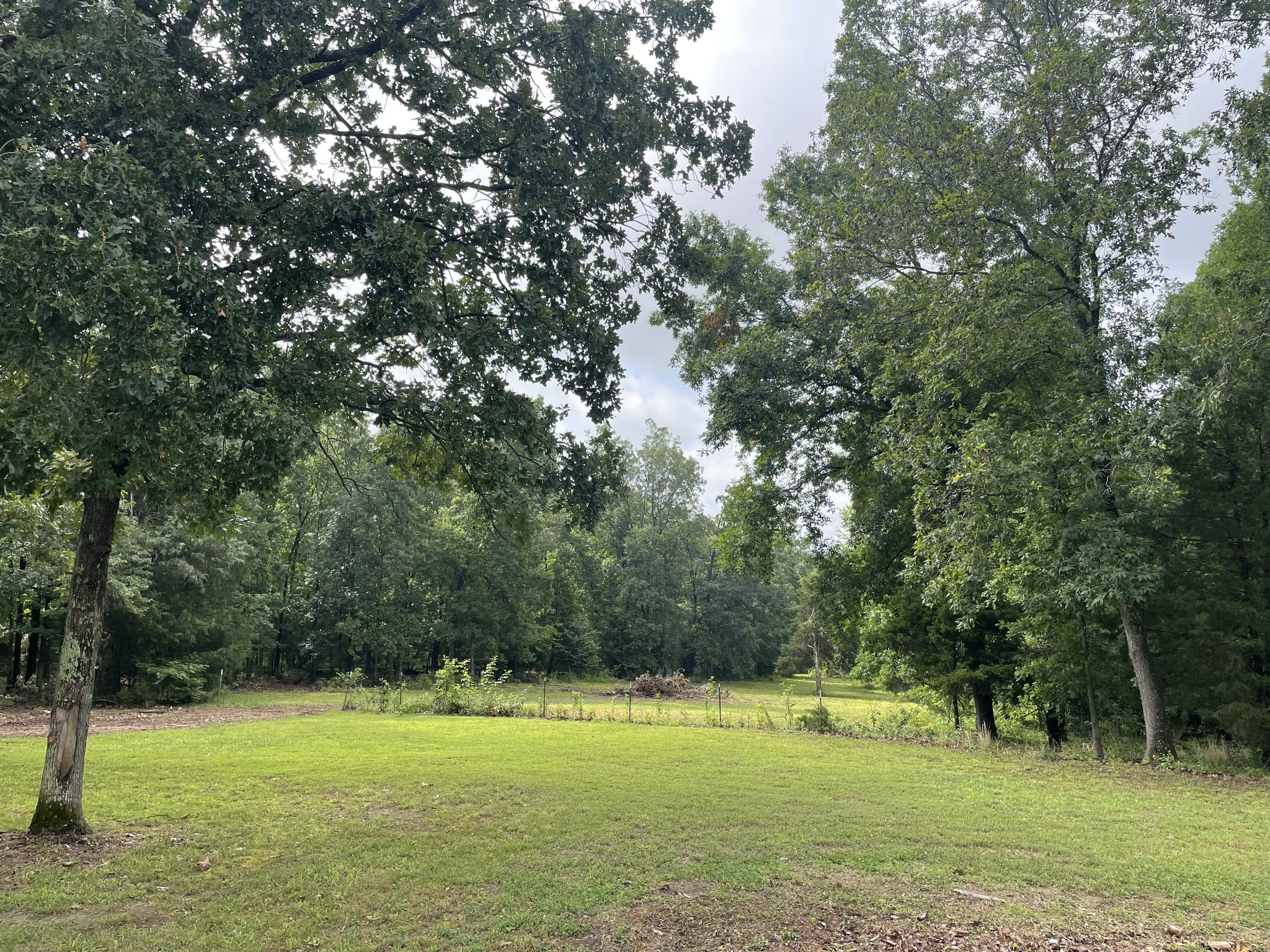 379 Dady Road McEwen, TN 37101 - Photo 11 of 34 a view of a field with a trees