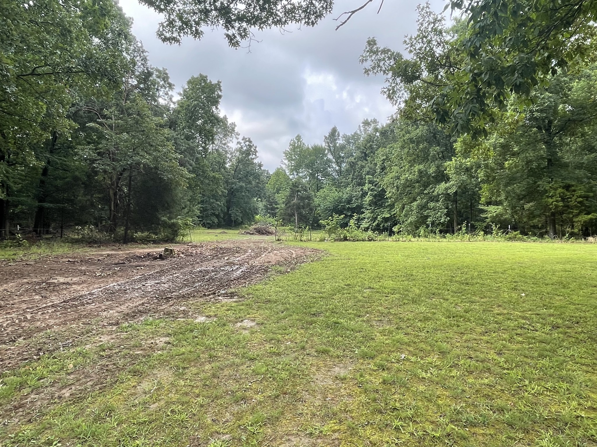 379 Dady Road McEwen, TN 37101 - Photo 12 of 34 a view of outdoor space with green field and trees all around