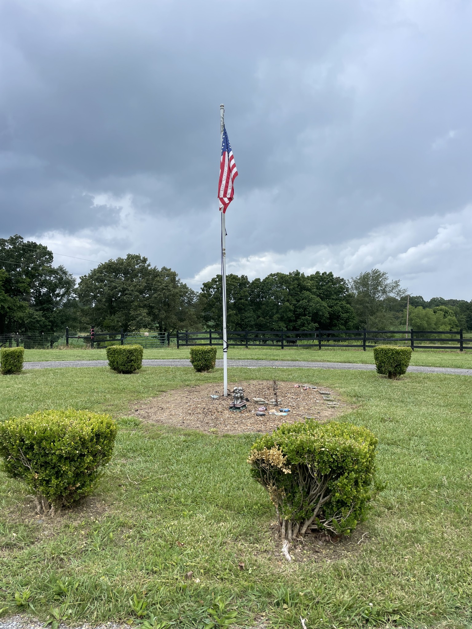 379 Dady Road McEwen, TN 37101 - Photo 2 of 34 a view of a garden with a slide
