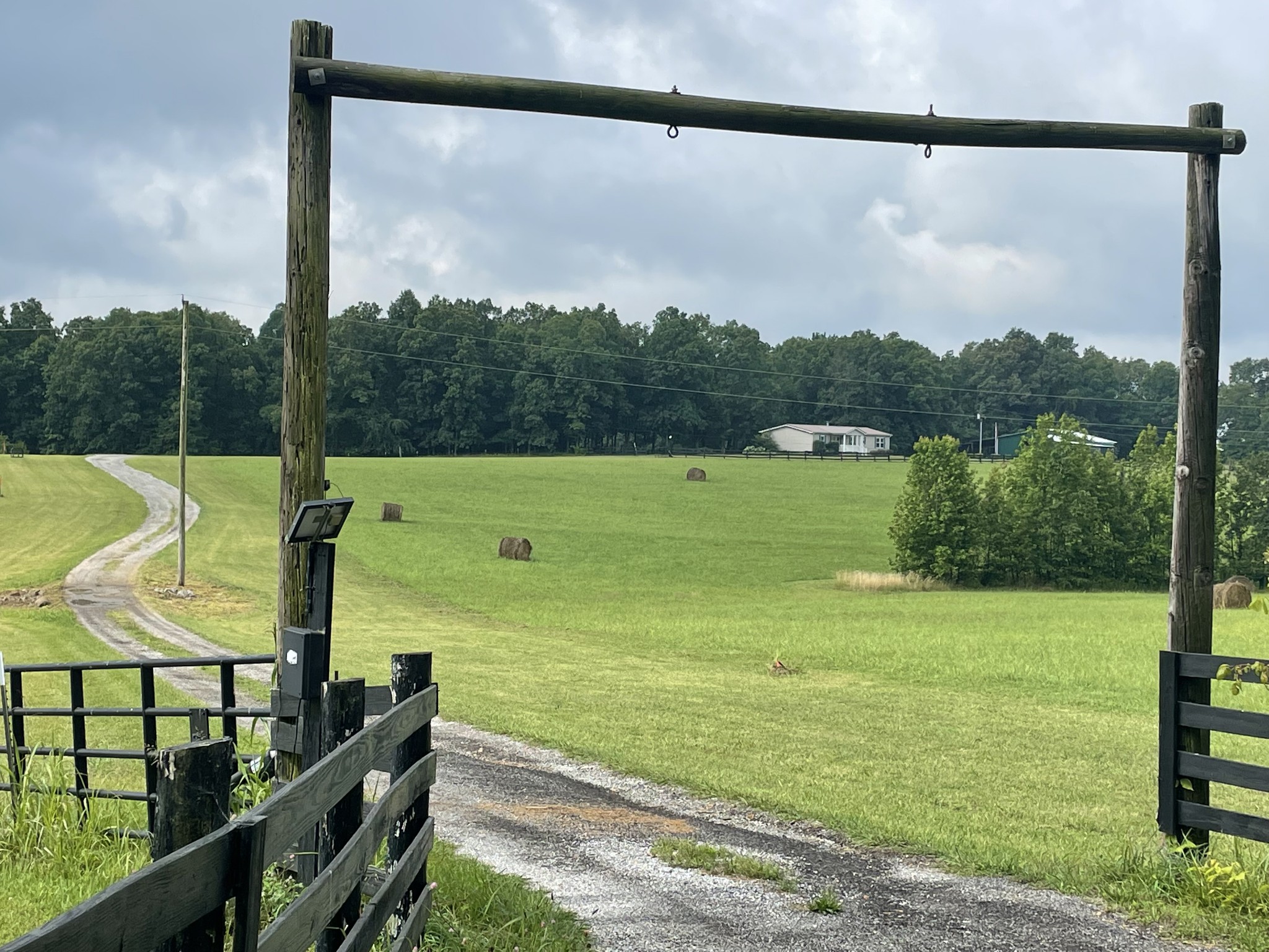 379 Dady Road McEwen, TN 37101 - Photo 4 of 34 a view of a yard with a palm tree