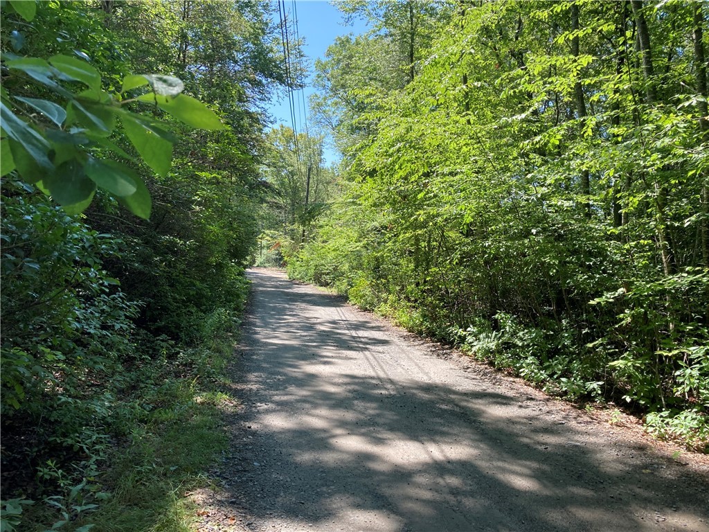 62 Amy Hart Path Little Compton, RI 02837 - Photo 1 of 12 wooded lot electricity on road