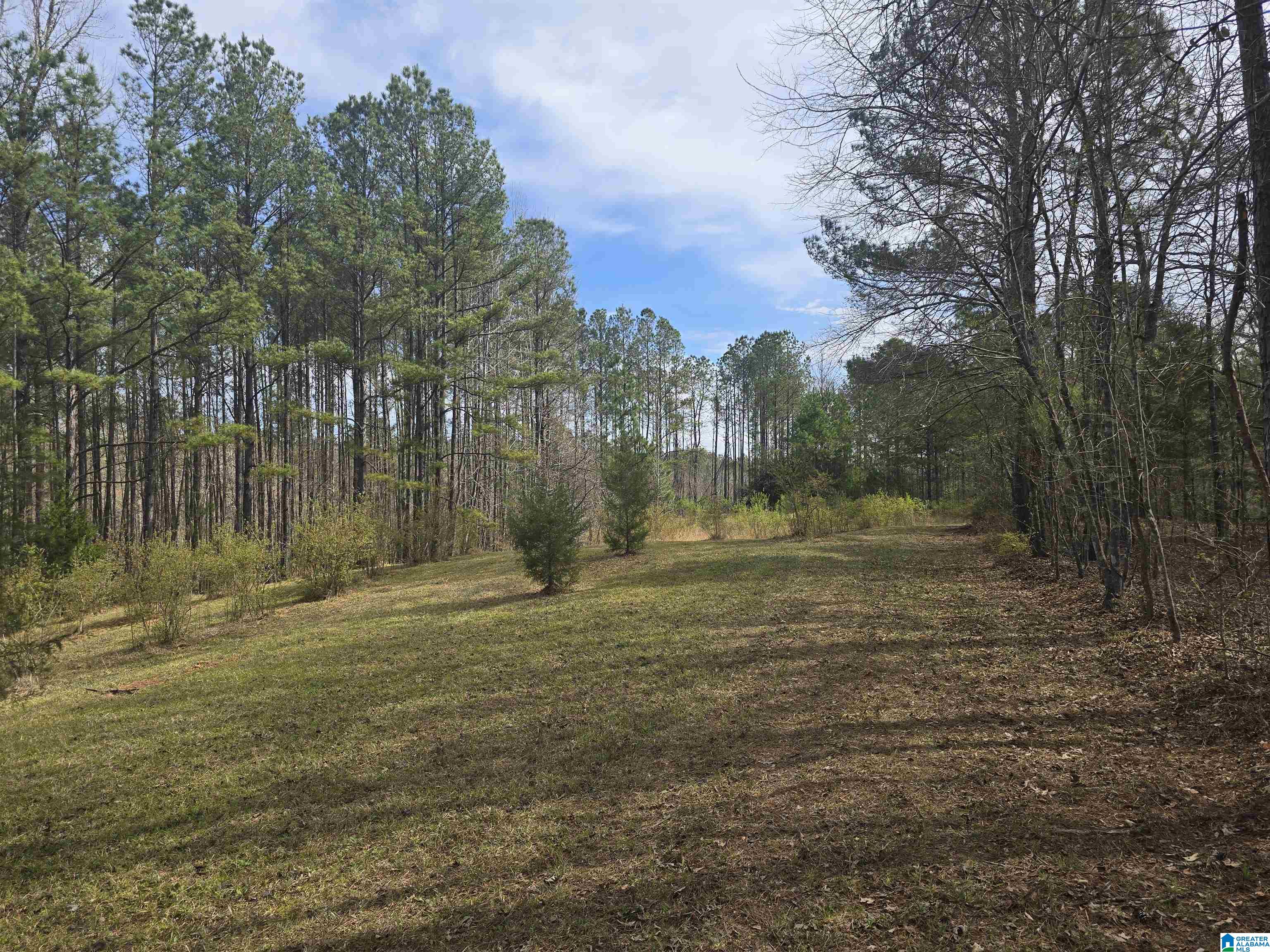 354 Springwell Road Rockford, AL 35136 - Photo 25 of 68
