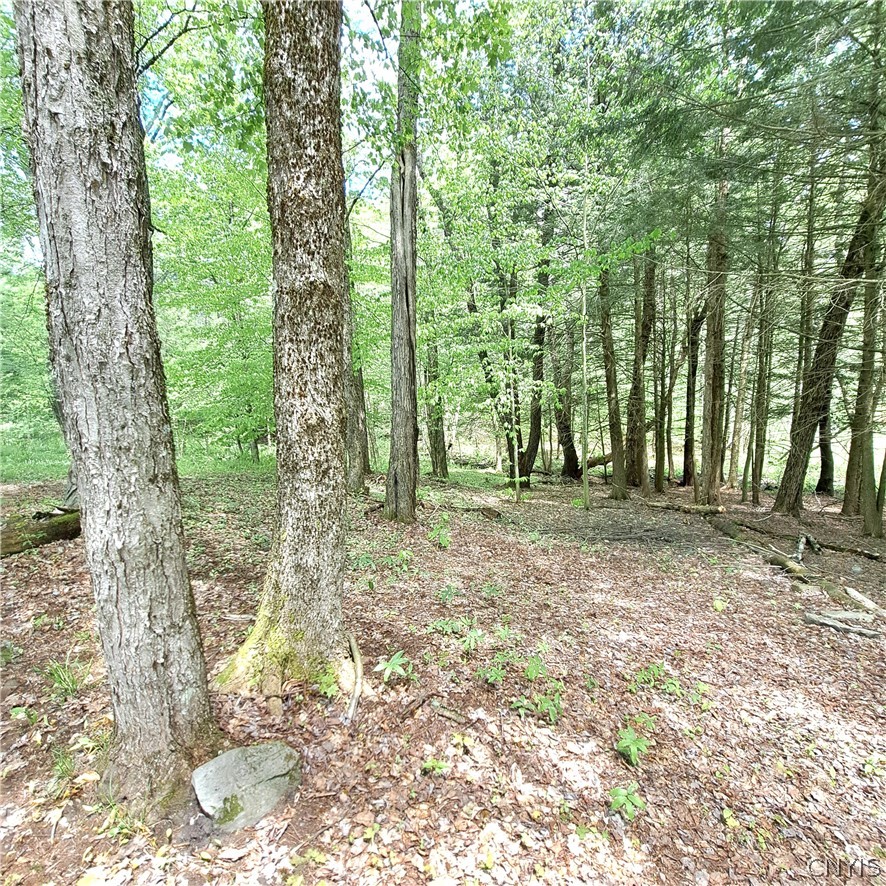 3063 Walker Road Camden, NY 13316 - Photo 9 of 43