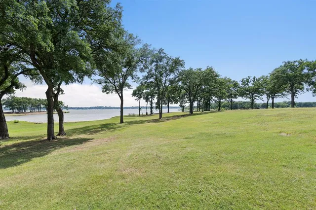 a view of a park with large trees