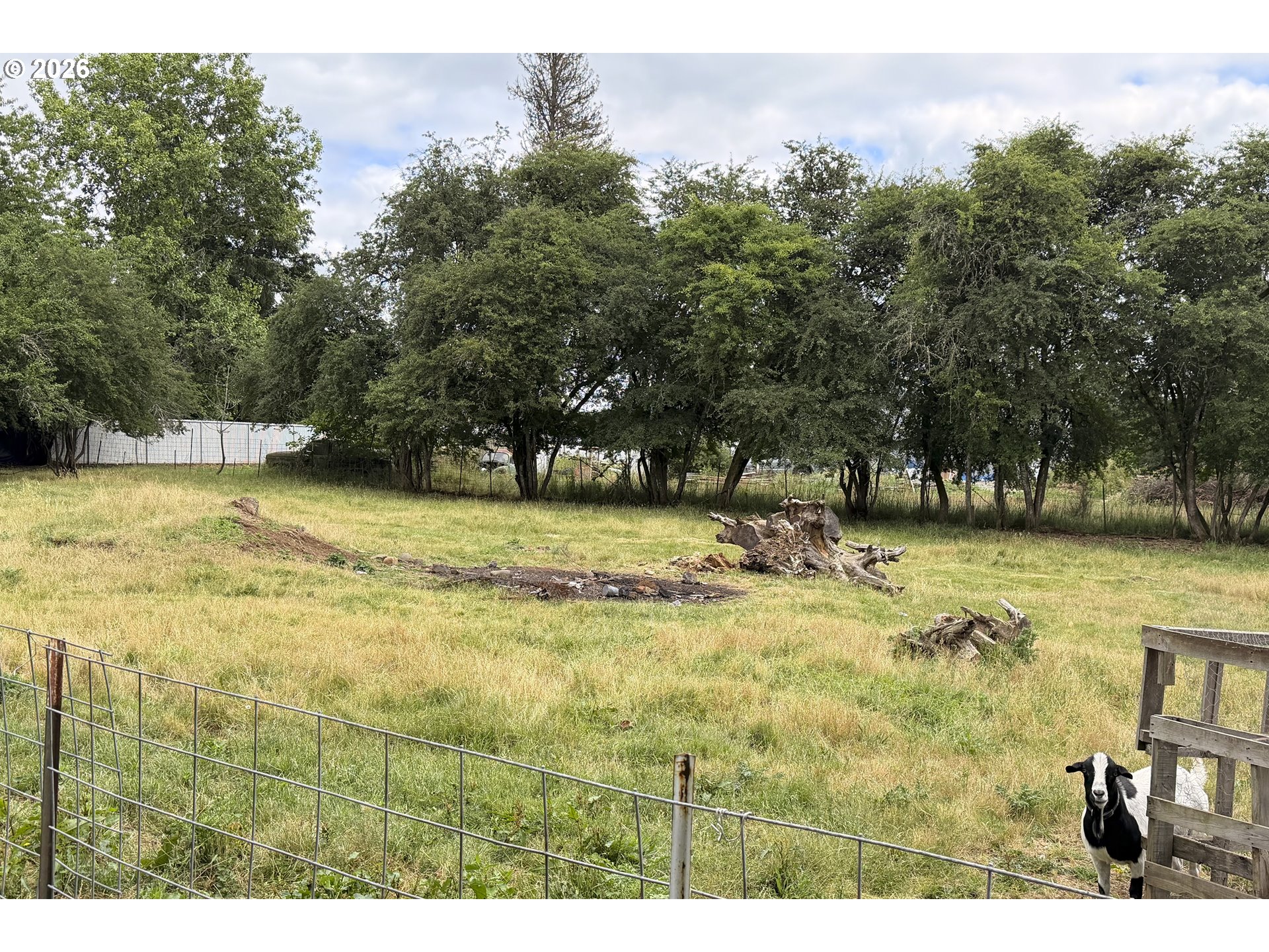 29922 South Hult Road Colton, OR 97017 - Photo 40 of 48
