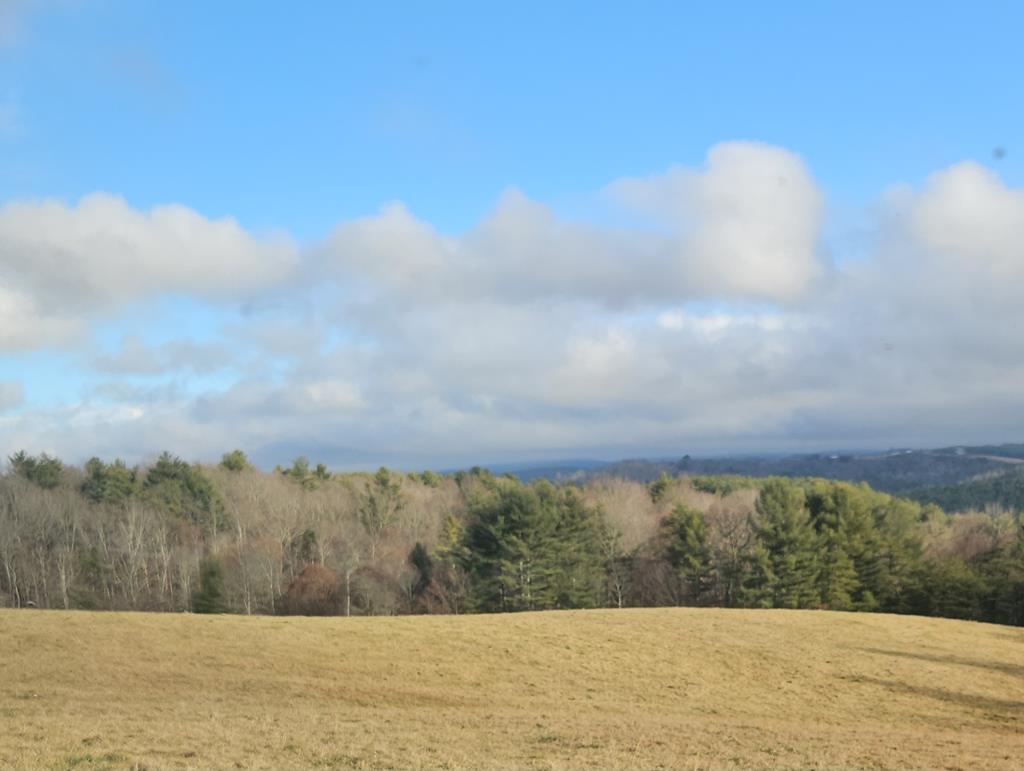 Tbd Double Cabin Road, Unit 1 Hillsville, VA 24343 - Photo 1 of 18 Gallery Image 1