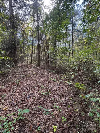 $49,900 | 0 Coolbrook Road, Unit 2, Union Grove, NC 28689