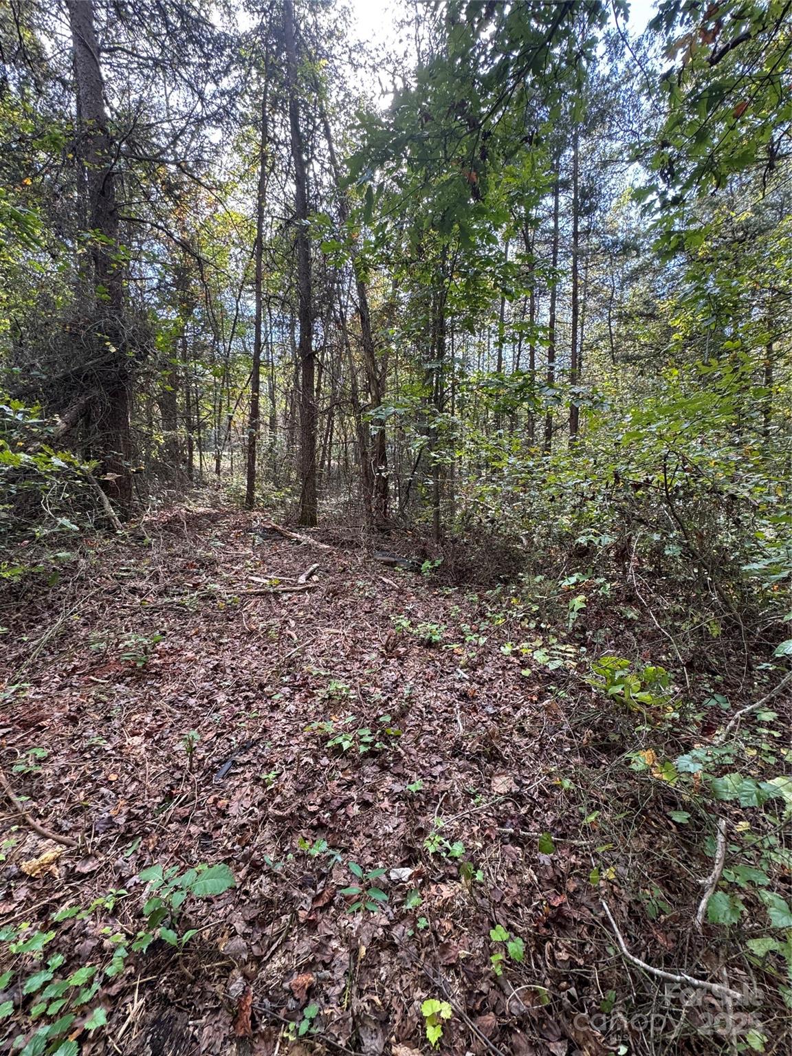 0 Coolbrook Road, Unit 2 Union Grove, NC 28689 - Photo 9 of 12